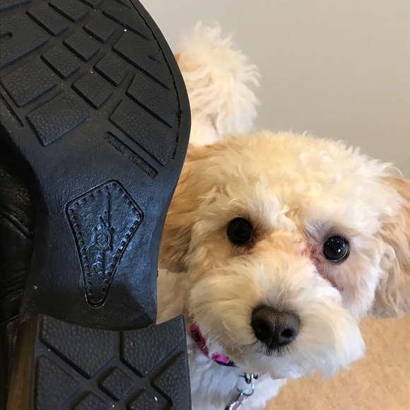 BORN NWOT ! Tall Boots size 8 😊 - Picture 6 of 6